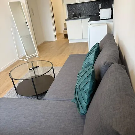 Fraichement Renove De 1 Et Sofa Bed En Plein Coeur De 列日