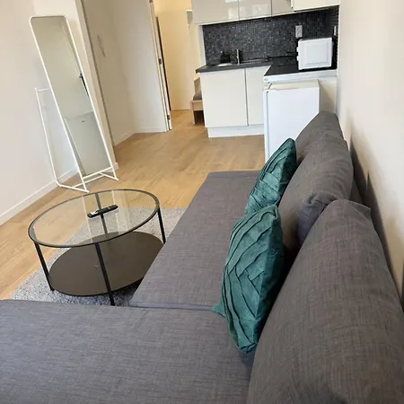 Fraichement Renove De 1 Et Sofa Bed En Plein Coeur De לייז'