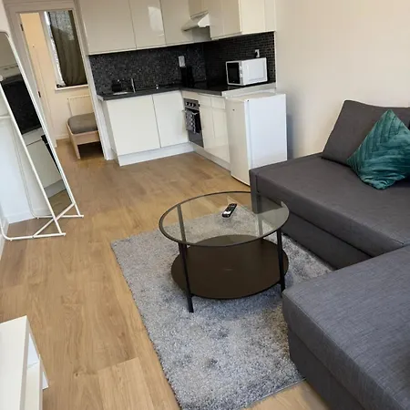 דירה Fraichement Renove De 1 Et Sofa Bed En Plein Coeur De לייז'
