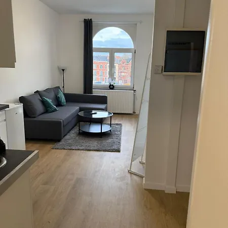 Fraichement Renove De 1 Et Sofa Bed En Plein Coeur De * Liège