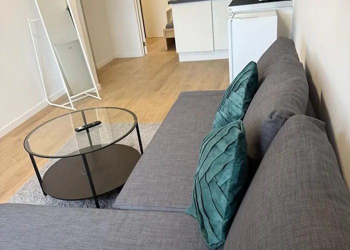 Fraichement Renove De 1 Et Sofa Bed En Plein Coeur De Liège