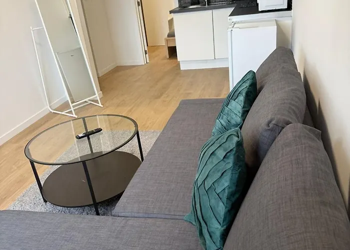 Fraichement Renove De 1 Et Sofa Bed En Plein Coeur De 列日