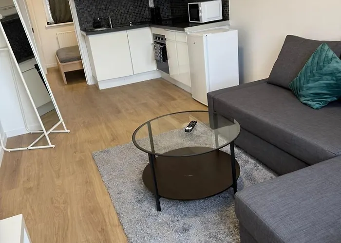 公寓 Fraichement Renove De 1 Et Sofa Bed En Plein Coeur De 列日