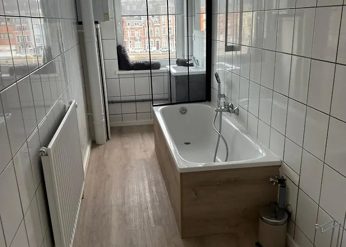Lägenhet Fraichement Renove De 1 Et Sofa Bed En Plein Coeur De Liège